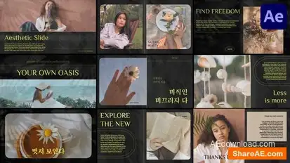 Aesthetic Slides for After Effects Openers template preview