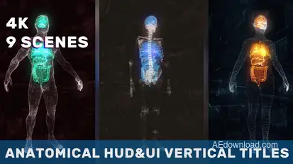 Anatomical Vertical HUD UI Titles Titles template preview