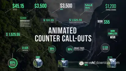Animated Counter Call-Outs Infographics template preview
