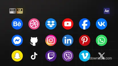 Animated Social Media Icons Infographics template preview