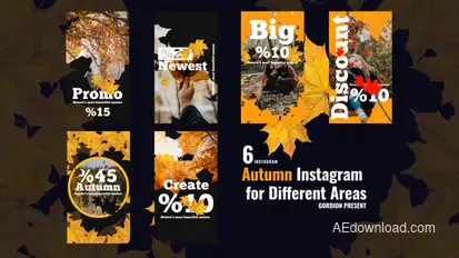Autumn Instagram Stories Product Promo template preview