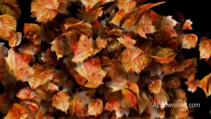 Autumn leaves motion path particles. Particular 6 Required! Openers template preview