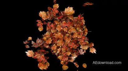 Autumn Leaves Particles Burst no Plugins Elements template preview