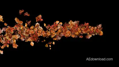 Autumn Leaves Particles Motion Path no Plugins Elements template preview