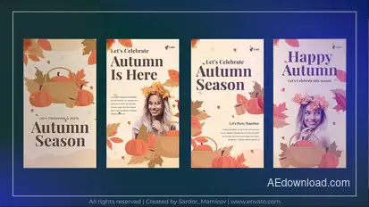 Autumn season instagram stories Video Displays template preview