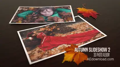 Autumn Slideshow V.2 Video Displays template preview