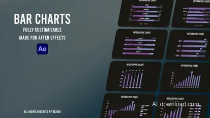 Bar Charts Infographics template preview