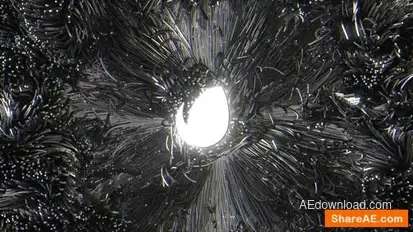 Black Elegance Logo Intro Logo Stings template preview