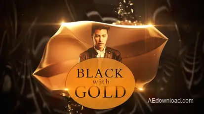 Black with Gold Openers template preview