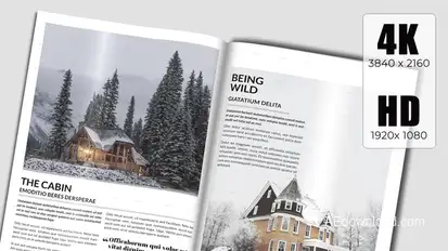 Book Teaser Product Promo template preview