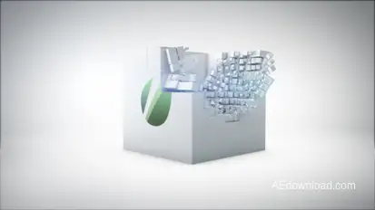 Box Logo Reveal Logo Stings template preview