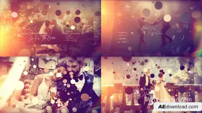 Brush Particle  Wedding Slideshow Video Displays template preview