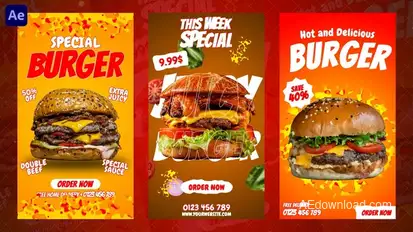 Burger Instagram Reels Product Promo template preview