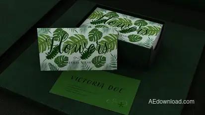 Business Cards Mockup Kit Video Displays template preview