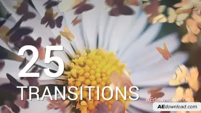 Butterflies Transitions Video Displays template preview