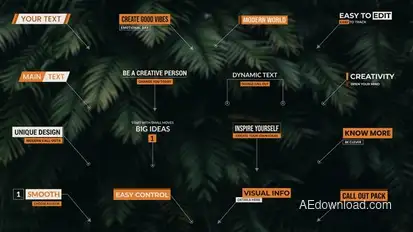 Call Outs Infographics template preview