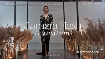 Camera Flash Transitions Elements template preview