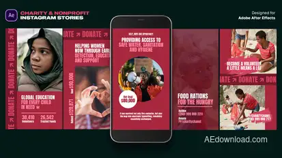 Charity & Nonprofit instagram Stories Product Promo template preview