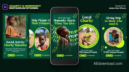 Charity & Nonprofit Instagram Stories Template Product Promo template preview