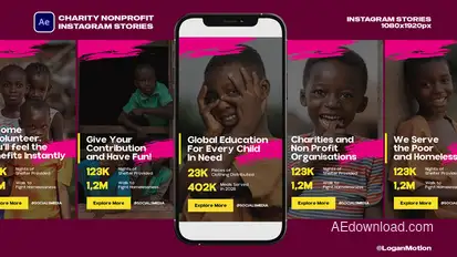 Charity Nonprofit Instagram Stories Product Promo template preview