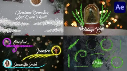 Christmas Branches And Lower Thirds for After Effects Elements template preview