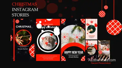 Christmas Instagram Product Promo template preview