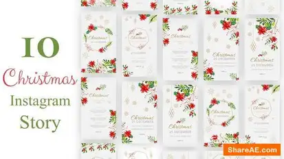 Videohive Christmas Instagram Stories 34766082 Video Displays template preview
