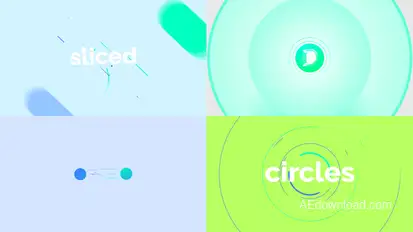 Circle Slice Logo Reveal Logo Stings template preview