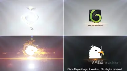 Clean Elegant Logo Logo Stings template preview