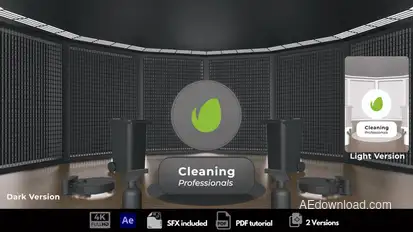 Cleaning Professionals Logo Stings template preview