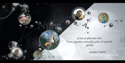 connections Video Displays template preview