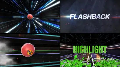 Cricket Bumper 3 (2 Bumpers) Logo Stings template preview