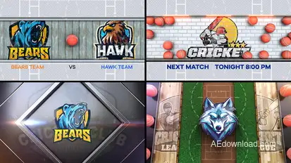 Cricket Bumper 4 (4-Bumpers) Logo Stings template preview