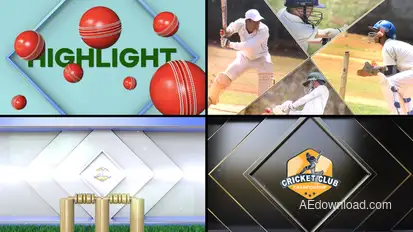 Cricket Bumper Logo Stings template preview