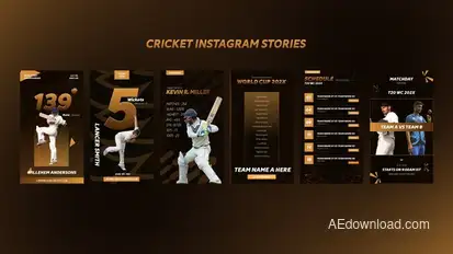 Cricket Instagram Stories Video Displays template preview