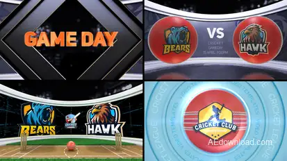 Cricket VS 2 Logo Stings template preview