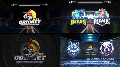 Cricket VS 3 Logo Stings template preview