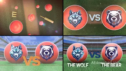 Cricket VS Logo Stings template preview