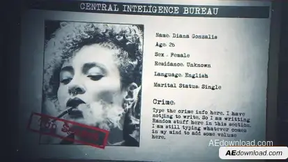 Criminal Profile Openers template preview