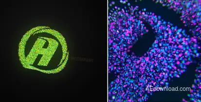 Cubic Logo Logo Stings template preview