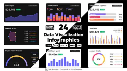 Data Visualization Lottie Infographics Infographics template preview