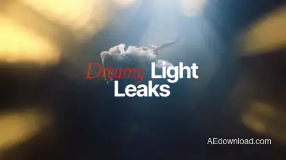 Dreamy Light Leaks Elements template preview