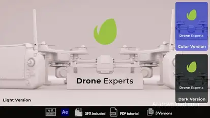 Drone Logo Reveal Logo Stings template preview