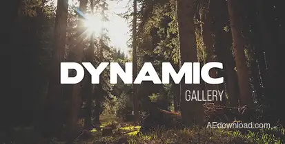 Dynamic Gallery Video Displays template preview