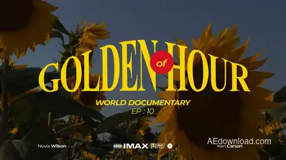 Dynamic Movie Titles Titles template preview