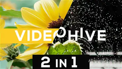 Clean Promo Openers template preview