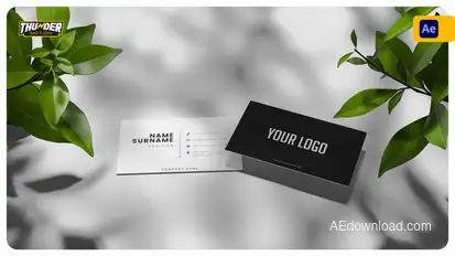 Elegant Business Card Mockup Product Promo template preview
