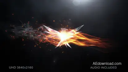 Elegant Flame Logo Logo Stings template preview