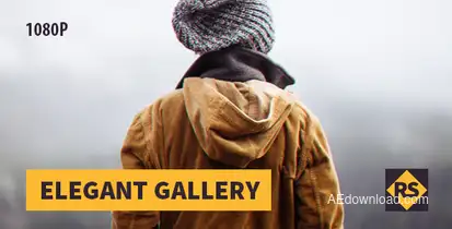 Elegant Gallery Video Displays template preview