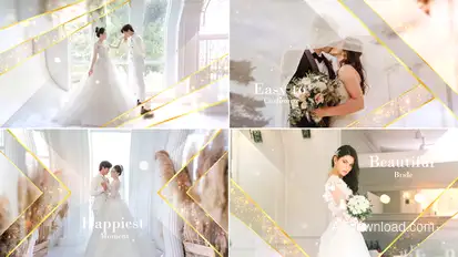 Elegant Particle Wedding Slideshow Video Displays template preview